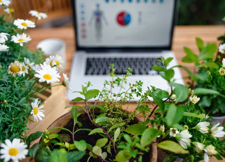 getty-images-e8ERfZjh7Wg-unsplash